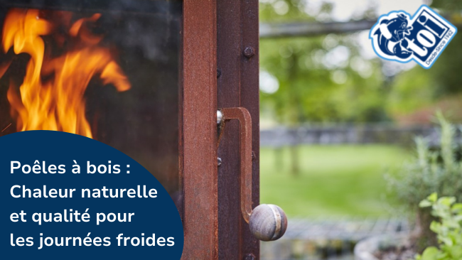 Poêles à bois : Chaleur naturelle et qualité pour les journées froides