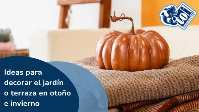 En Piscinas TOI te damos las mejores ideas para decorar el jardín en otoño/invierno 