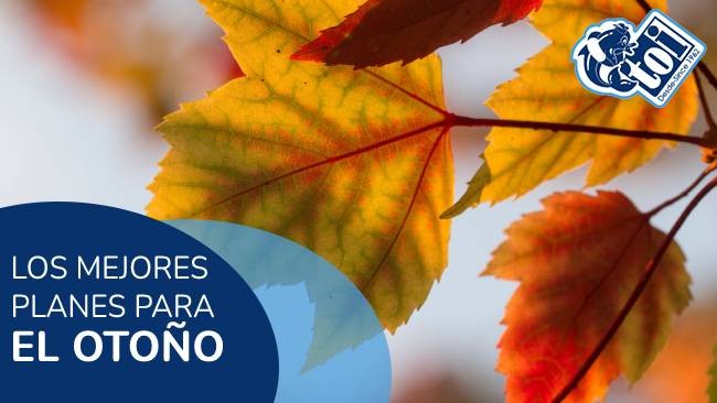 Los mejores planes para este otoño