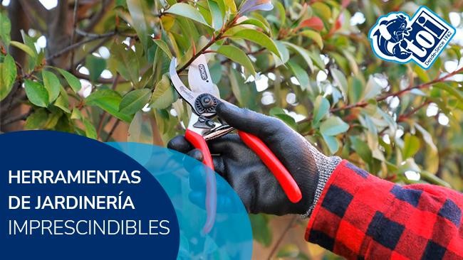 5 herramientas de jardinería indispensables